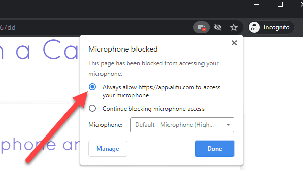how to allow your microphone in the browser
