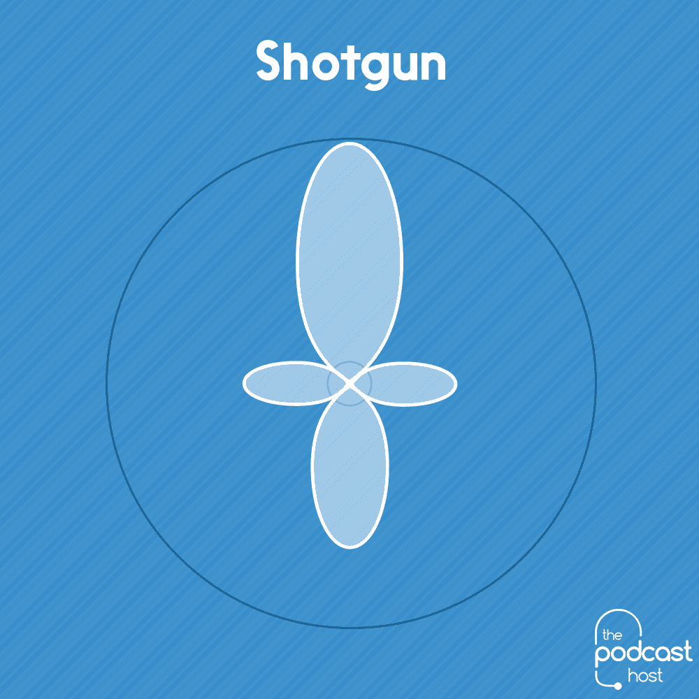 shotgun polar pattern