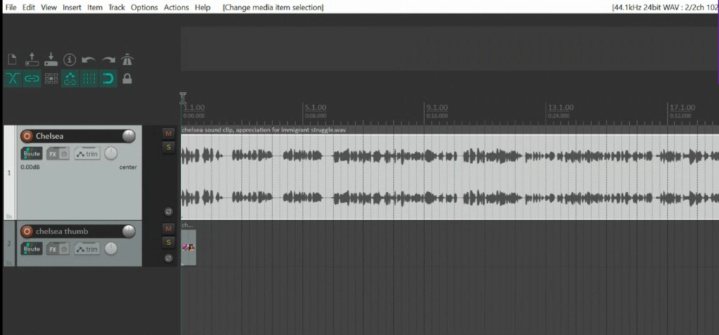 This is a screenshot of Reaper with two things in the tracks area. The top section has the audio track in waveform and the bottom track has a static image that covers the first few seconds of the above audio track. This static content video is super quick while podcast video editing. 