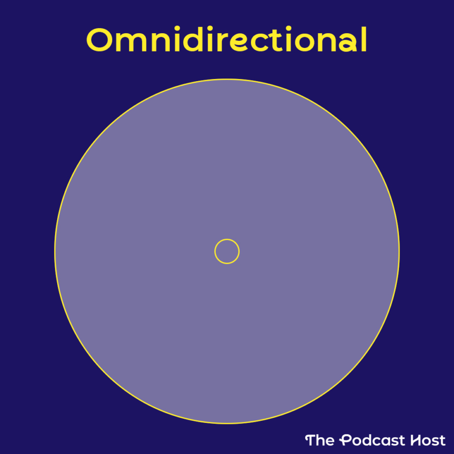 Microphone Reference Condenser Vs Dynamic | A Beginner’s Guide to Vocal Microphones