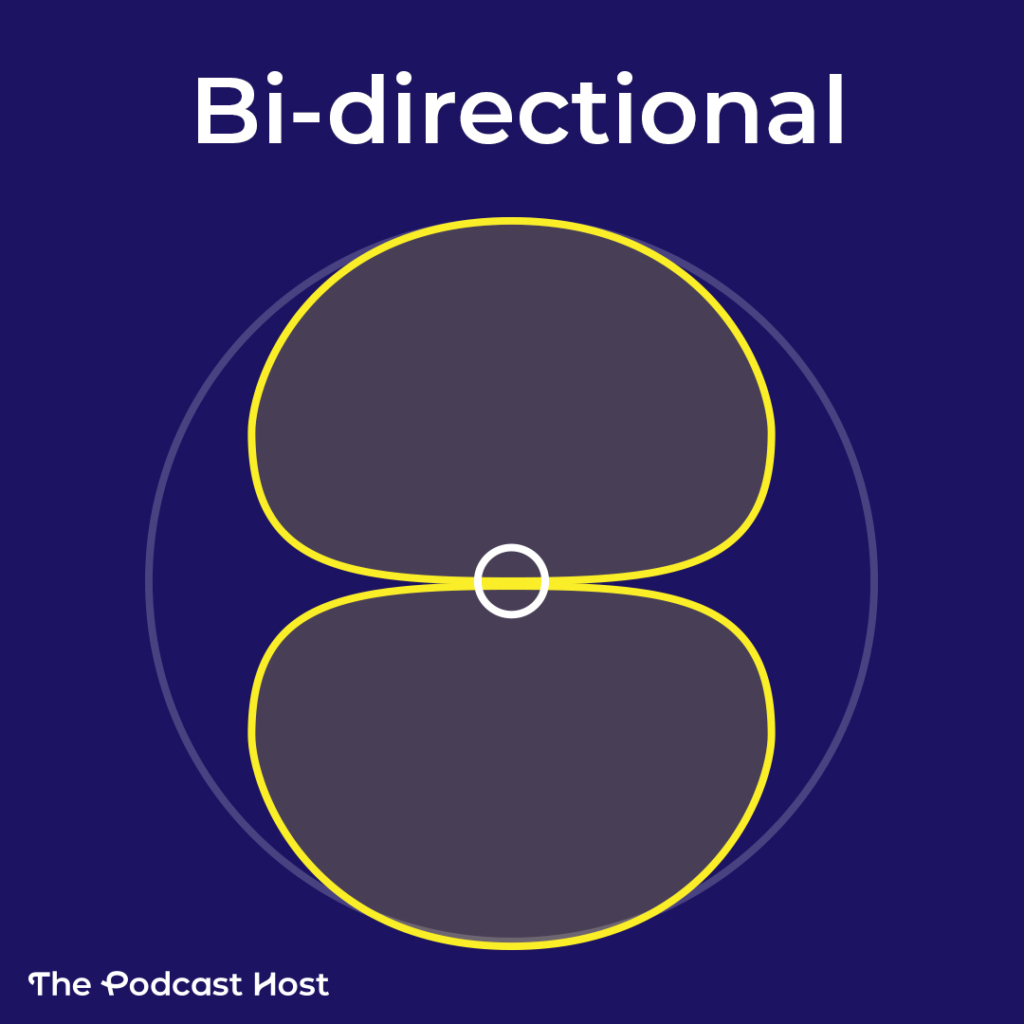 bi-directional polar pattern