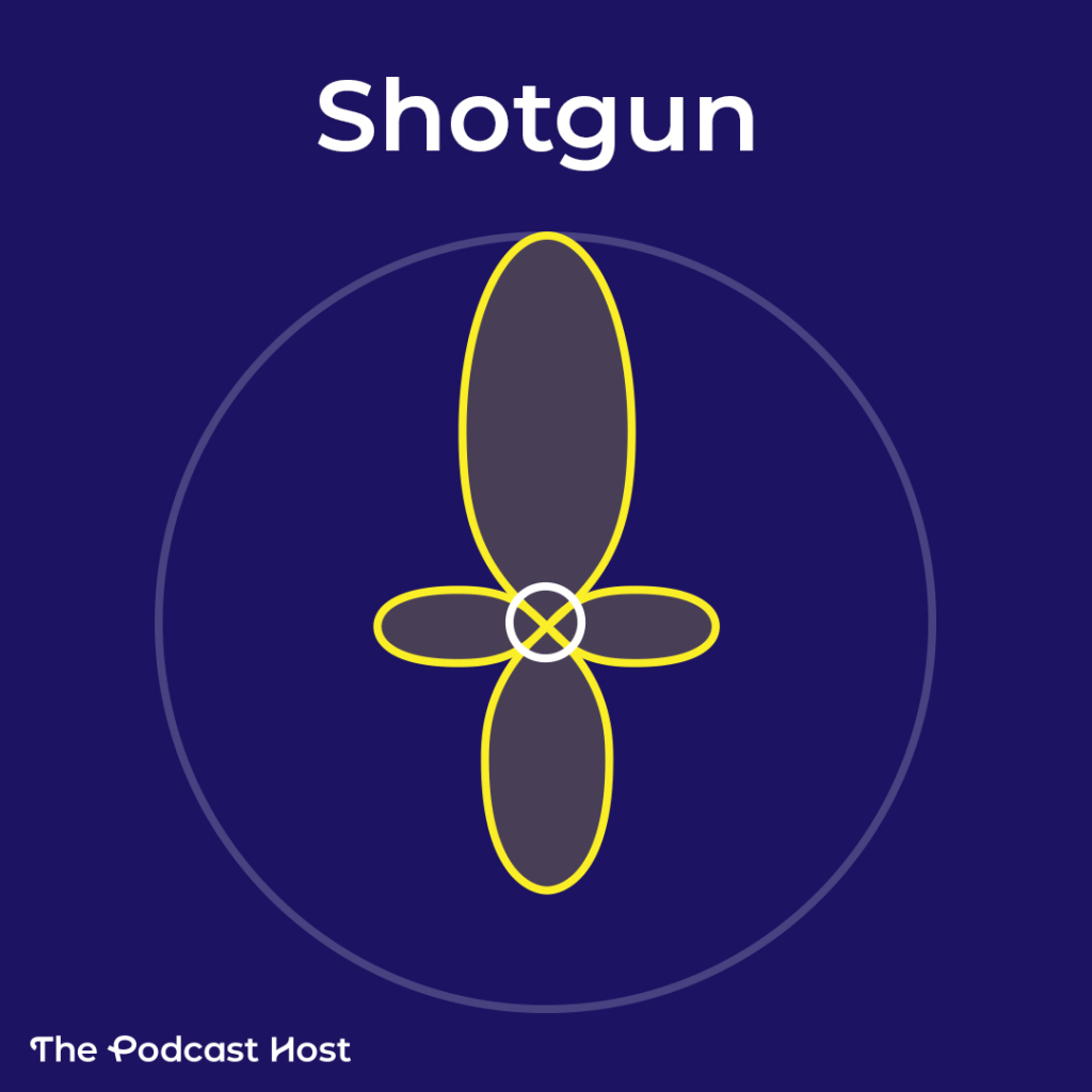 shotgun polar pattern