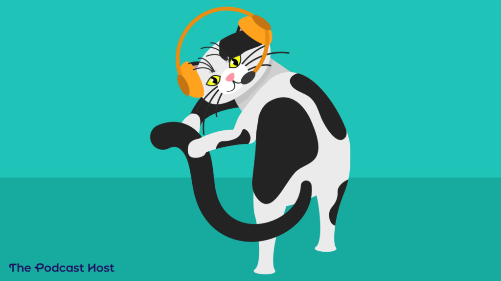 If you don't make a new podcast plan, you may feel like a podcaster cat chasing their own tail. 