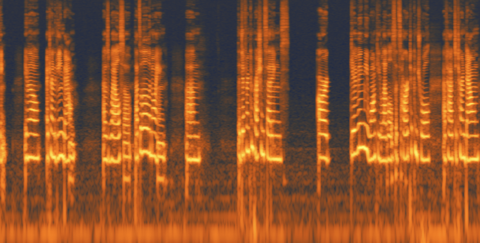 A spectrogram of a recording
